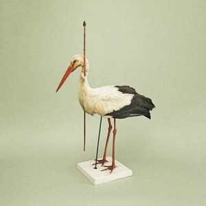 Passepartout Duo @ Samadi Lounge