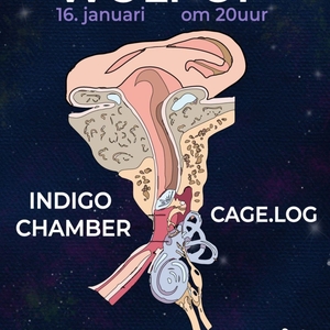indigo chamber @ Stichting Wolpop