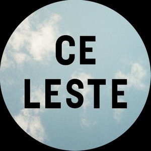 Max Plattner @ Celeste