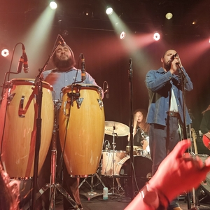 ORGONE at San Francisco, CA in The Independent 2025