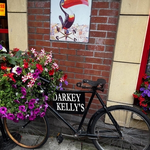 Lisa Richard music @ Darkey Kelly's