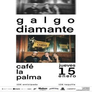 Galgo Diamante @ Café La Palma