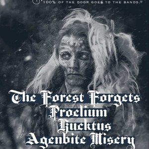 the forest forgets @ The Shaskeen