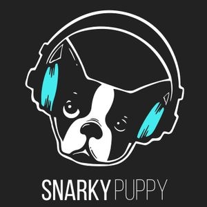 Snarky Puppy