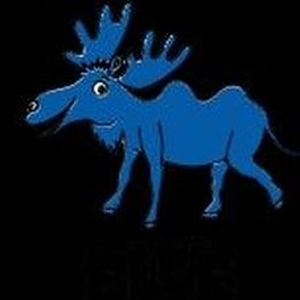 Blue Camoose Presents Tickets, Tour Dates and Concert