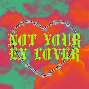 Not Your Ex Lover