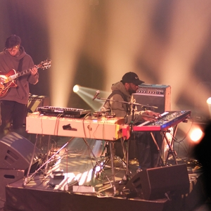 Alfa Mist at Den Haag, Netherlands in PAARD 2026