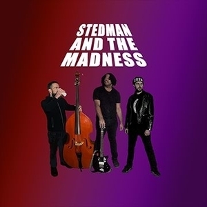 Stedman and the Madness Tickets, Tour Dates and Concert