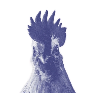 Massaroni Pianoforti @ Salto - Zigozago aps