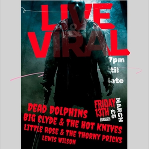 Dead Dolphins @ Slanj-A-Va