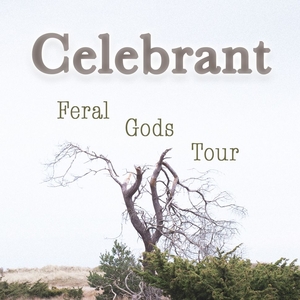 Celebrant @ Sneaky Pete's