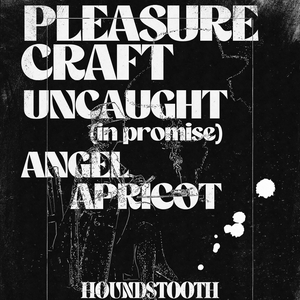 Uncaught (in Promise) @ Houndstooth