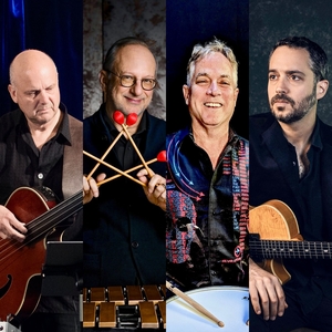 Wolfgang Lackerschmid Tickets, Tour Dates and Concerts