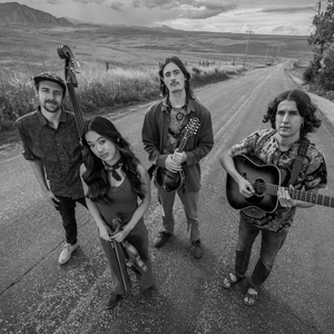 Kyle Ledson — Quilcene Lantern, 2026-09-19