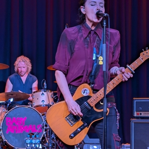 Baby Animals Music at Hornsby, Australia in Hornsby RSL Club 2026