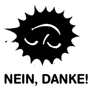 Entradas, fechas de la gira y Concierto de Nein Danke