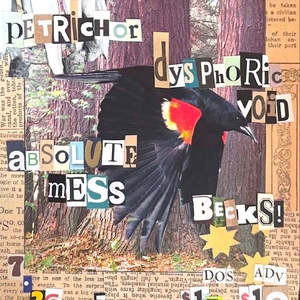 Dysphoric Void