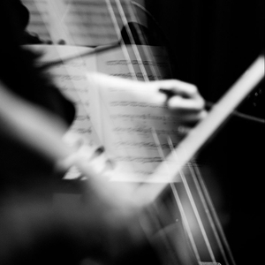 ANIMA ETERNA BRUGGE Tickets, Tour Dates and Concerts