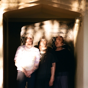 Meatbodies