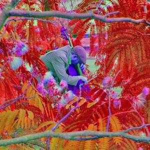 Sam Cooper Tickets, Tour Dates and Concerts