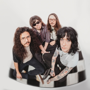 Entradas, fechas de la gira y Concierto de Pet Taxi
