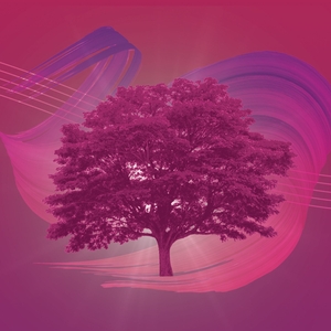 Royal Philharmonic Orchestra Tickets, Tour Dates and Concerts