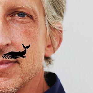 Entradas, fechas de la gira y Conciertos de William Wahl