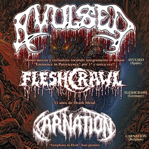 Carnation Tickets, Tour Dates and Concerts