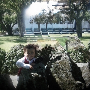 The Ryn