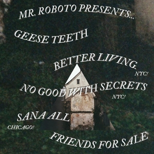 Friends For Sale w/Geese Teeth