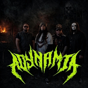 ADYNAMIA