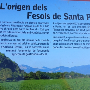 Ginesta at Santa Pau, Spain in Descampat Festival 2026