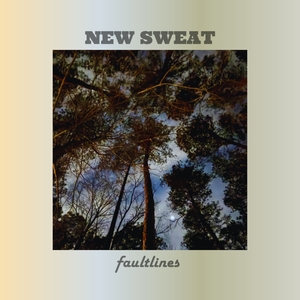 New Sweat Tickets, Tourdaten und Konzerte
