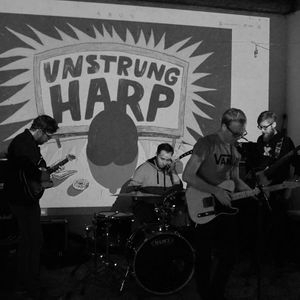 Unstrung Harp Tickets, Tour Dates and Concert