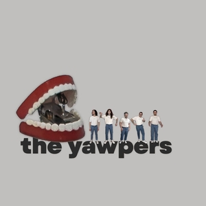 Entradas, fechas de la gira y Conciertos de The Yawpers