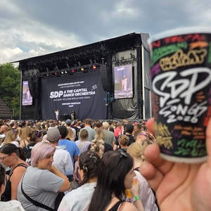 SDP at Saarbrücken, Germany in Open Air Gelände hinterm E-Werk 2026
