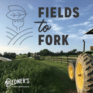 Tim Vitullo: Tim Solo at Bedner's Fields to Fork Wine Dinner