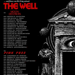 Pink Fuzz Tickets, Tour Dates and Concerts