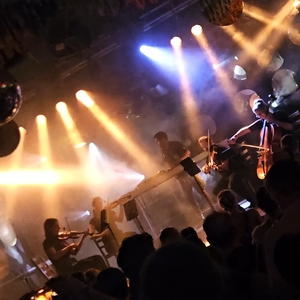 Catching Flies at Zürich, Switzerland in Rote Fabrik 2026