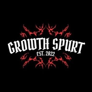 Growth Spurt & bsides Live At Dormont Street & Music Festival Pre-party