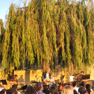 Devendra Banhart at Los Angeles, CA in Hollyhock House 2026