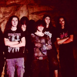 Kintona Tickets, Tour Dates and Concert