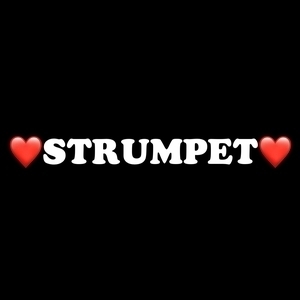 Strumpet Tickets, Tourdaten und Konzerte