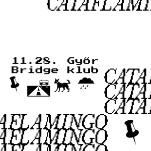Cataflamingo Tickets, Tour Dates and Concerts