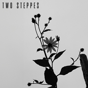 Ingressos, Datas da Turnê e Shows de Two Steppes