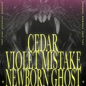 cedar Tickets, Tourdaten und Konzerte