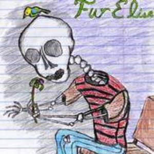 Fur Elise のチケット、ツアー日程とコンサート