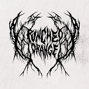 Billets, dates de tournée et concerts pour Punched Orange