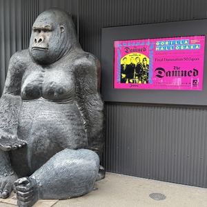 The Damned at Osaka, Japan in GORILLA HALL OSAKA 2026