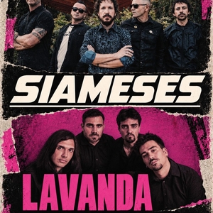 Lavanda Tickets, Tour Dates and Concerts